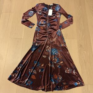 Brown Velvet Whimsigoth Maxi Dress